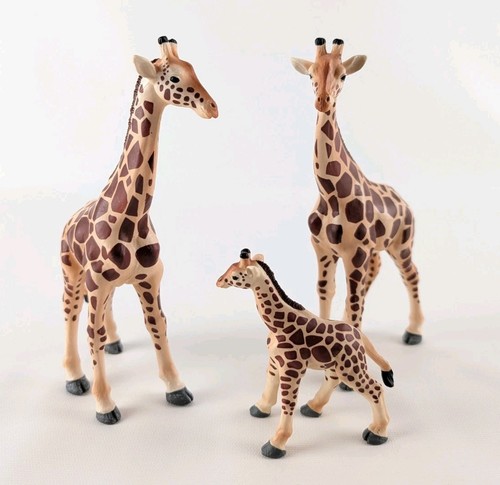 Set safari ltd - set, 7"