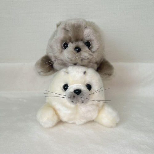 Asahiyama zoo seal - zoo,
