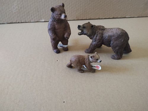 Grizzly brown bears cub - brown,