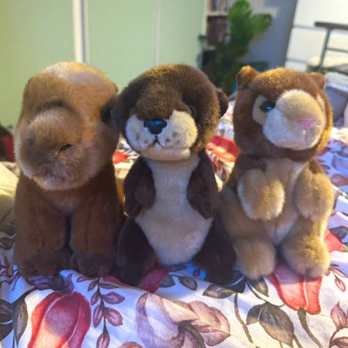 Chester zoo plush - chester,