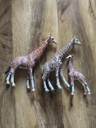 Schleich wild life giraffe - schleich,